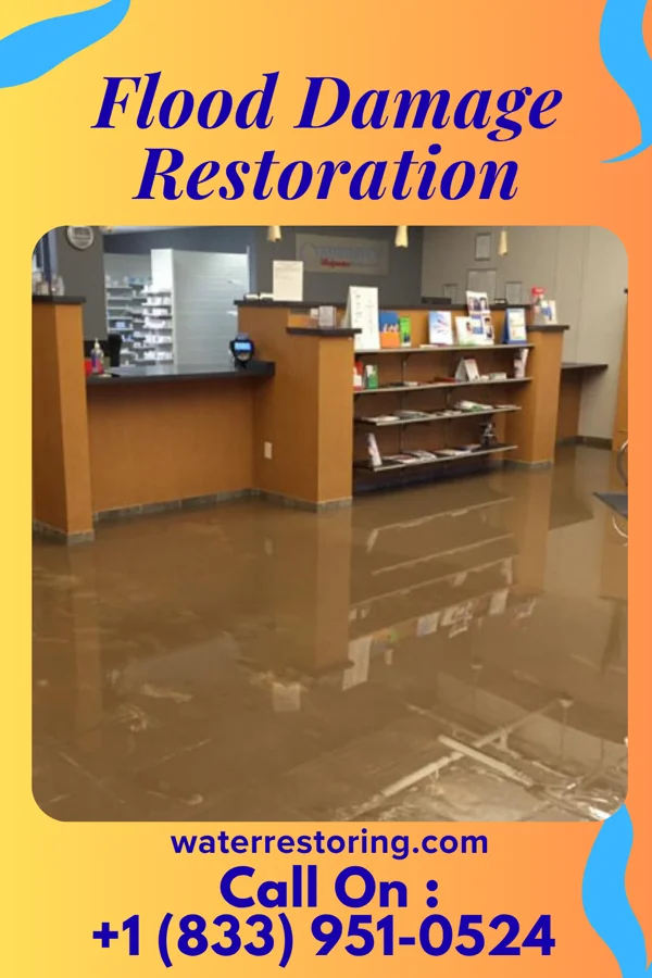 Flood Damage Restoration in Batavia, IL