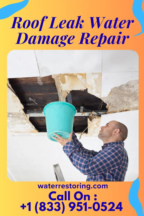 Roof Leak Water Damage Repair in Batavia, IL
