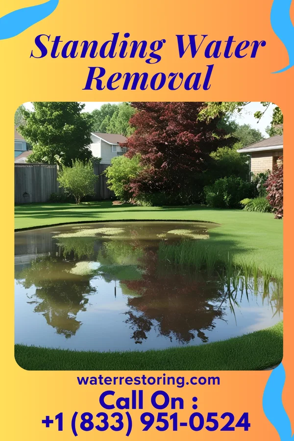 Standing Water Removal in Batavia, IL